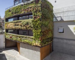 fachada verde