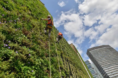 fachada verde