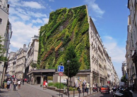 fachada verde