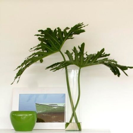 O QUE FAZ UM DESIGNER DE INTERIORES