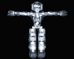 Nick Veasey